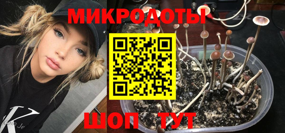 Галлюциногенные грибы мицелий Воронеж