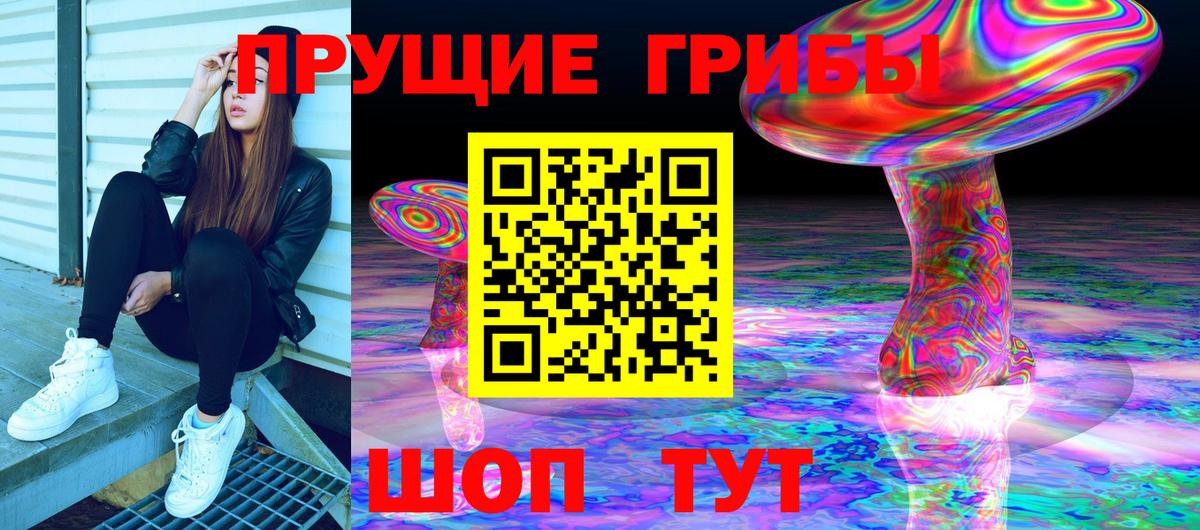 Воронеж  Галлюциногенные грибы Psilocybe  Вход с VPN 